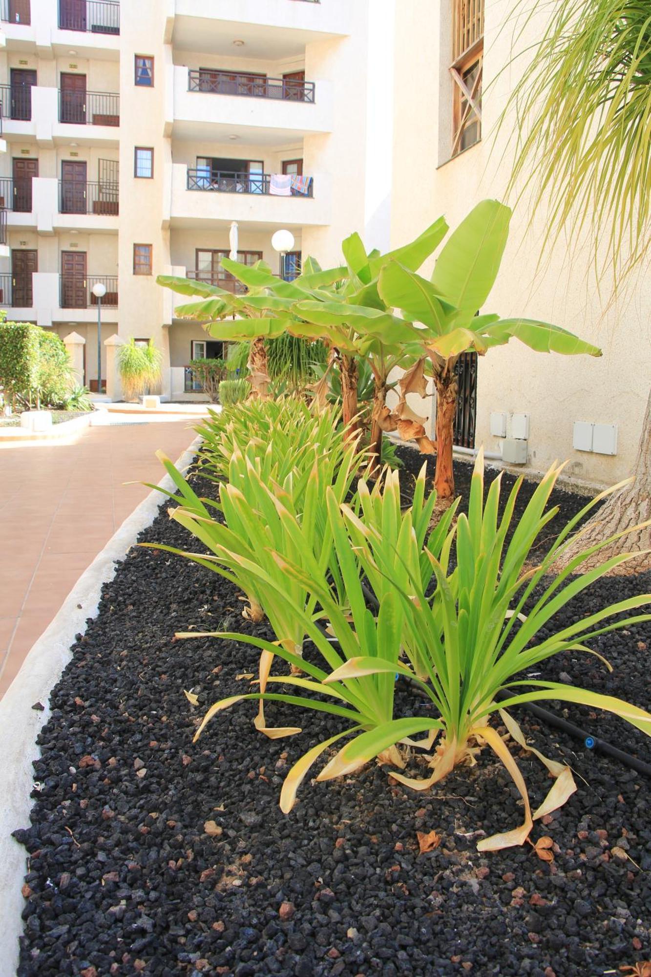 Las Americas - 2 Bedrooms - Flayla-A Арона Екстер'єр фото